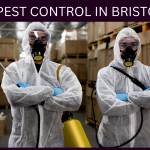 Aman Pest Control Profile Picture