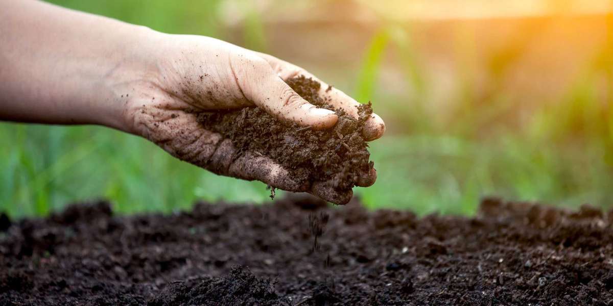 North America's Organic Fertilizer Industry Projected to Surpass US$ 4,415.8 Million by 2034