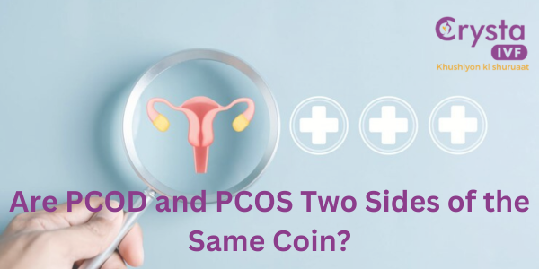 Decoding the Mystery: Are PCOD and PCOS Two Sides of the Same Coin?