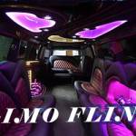 Limo Flint Profile Picture